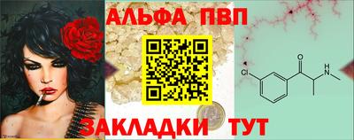эйфоретик Кингисепп