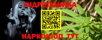 эйфоретик Кингисепп