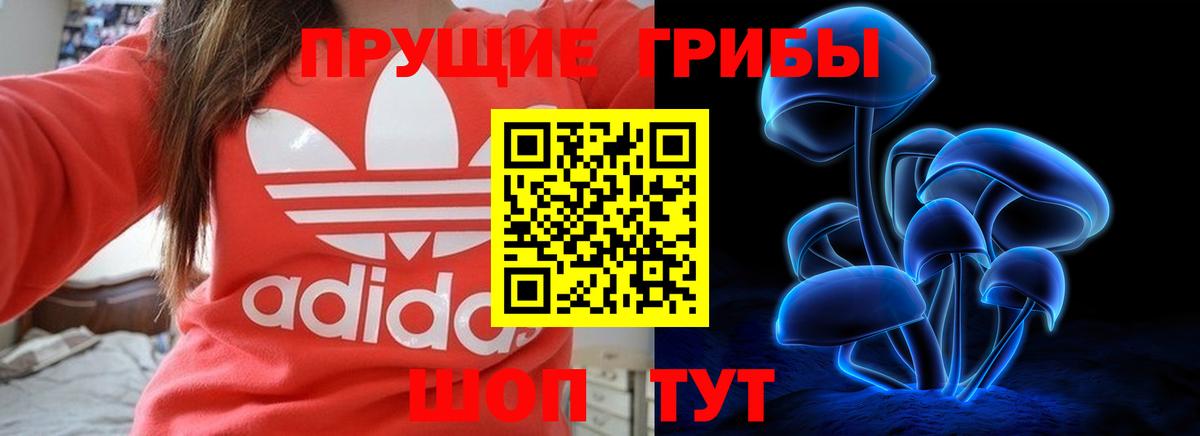 Благовещенск  Галлюциногенные грибы GOLDEN TEACHER  Вход с VPN 